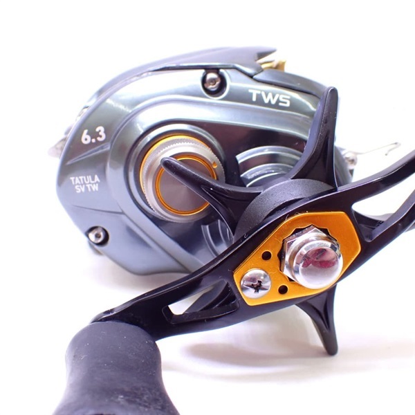 １７タトゥーラＳＶＴＷ６．３Ｒ